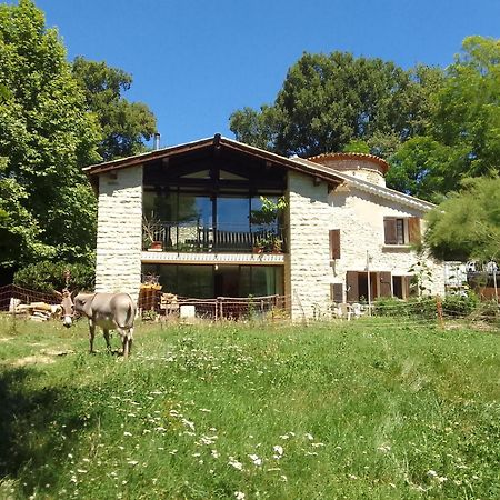 Les Favouilles - Gite & Chambres D Hotes Dauphin Esterno foto